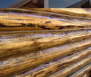 Bragg Creek Log Homes